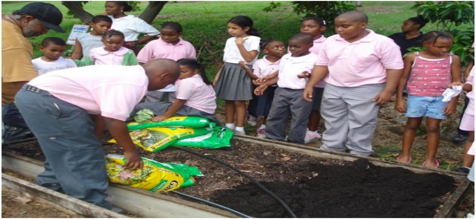 Family and Consumer Science Teaches Box Gardening